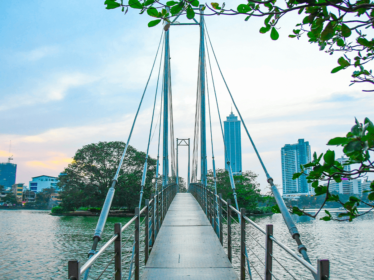 Colombo Day M