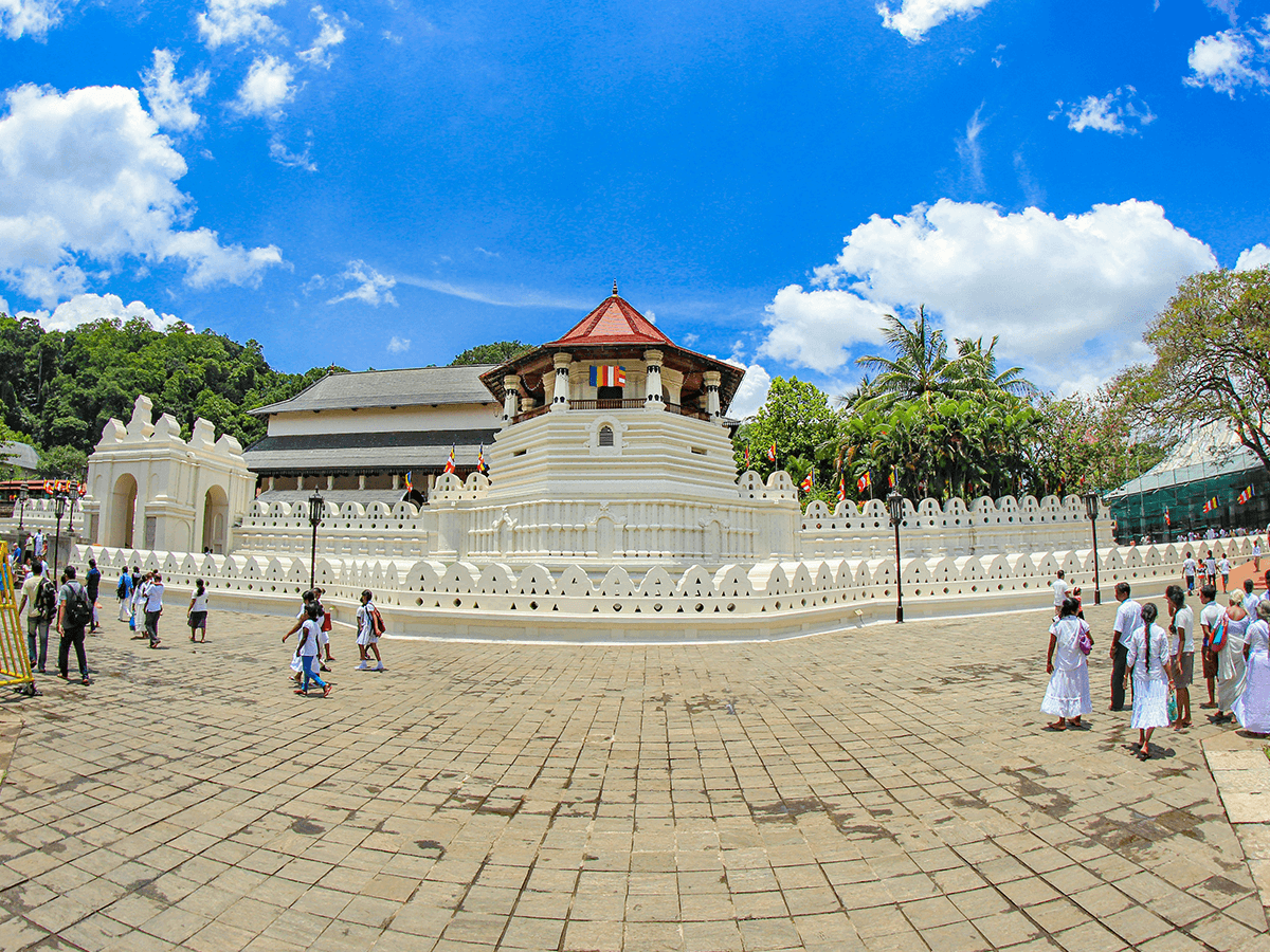Kandy Day M